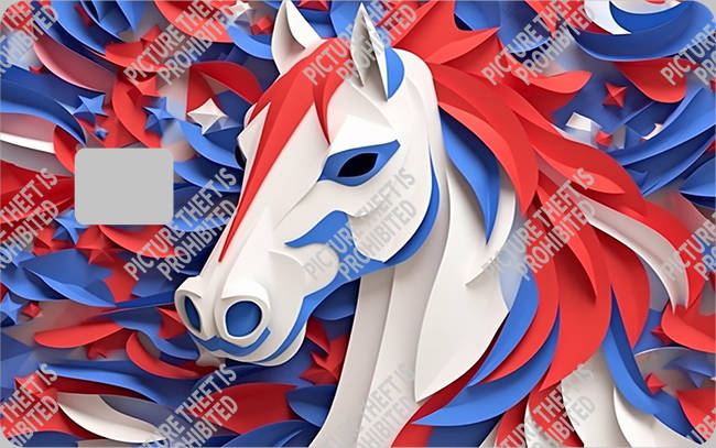 Bank  Card Sticker-BC-2093